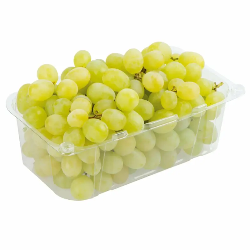 Trauben weiß kernlos