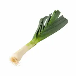 Da komm ich her! Lauch