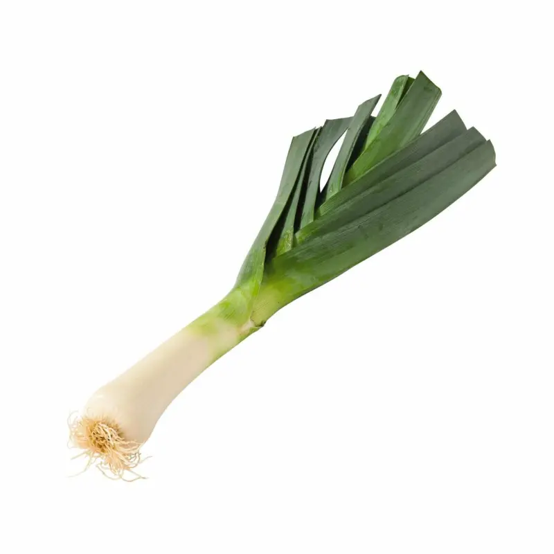 Da komm ich her! Lauch