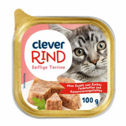 Clever Katze Rind