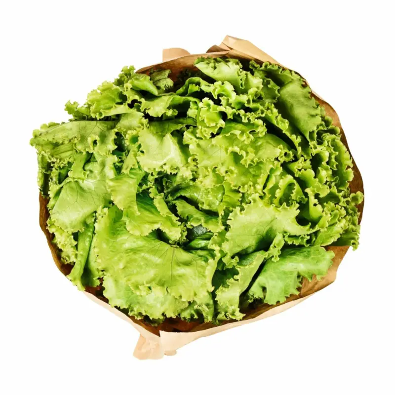 Ja! Nat&uuml;rlich Batavia Salat