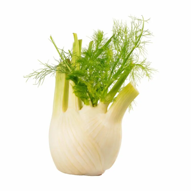 Ja! Natürlich Fenchel