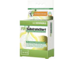 Hornbach Filterbakterien DENNERLE FB1 SubstrateStart 50 g