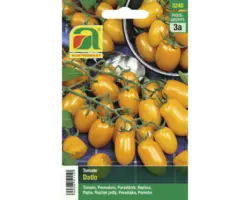 Tomatensamen Austrosaat 'Datlo'