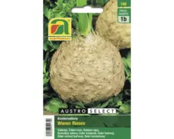 Gemüsesamen Austrosaat Sellerie 'Wiener Riesen'