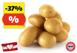 ZURÜCK ZUM URSPRUNG BIO-Kartoffeln aus Österreich, 3 kg