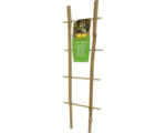 Hornbach Bambus-Rankgitter FloraSelf 35 cm, holz