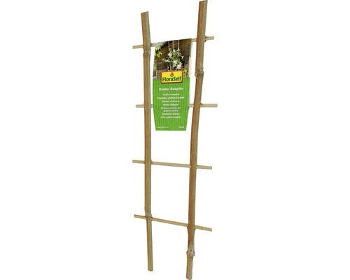 Bambus-Rankgitter FloraSelf 35 cm, holz