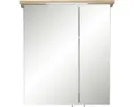 Hornbach LED-Spiegelschrank Pelipal Quickset 374 2-türig 60x20x72 cm salbei