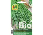 Hornbach Kräutersamen Austrosaat Schnittknoblauch 'Sapras'
