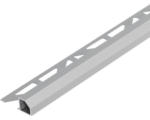 Hornbach Abschlussprofil Dural Duraplus Diamond DPDAC 1165 aluminium 300 cm betongrau