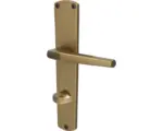 Hornbach Beschlagset WC+ Bad Riegel Langschild Alpertec Phil Aluminium F4 bronze eloxiert