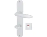 Hornbach Beschlagset WC+ Bad Riegel Langschild Alpertec Ray II Aluminium F1 alu eloxiert