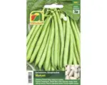 Hornbach Bohnensamen Austrosaat Stangenbohne 'Markant'