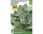Hornbach Kräutersamen Austrosaat Rucola 'Wasabi'
