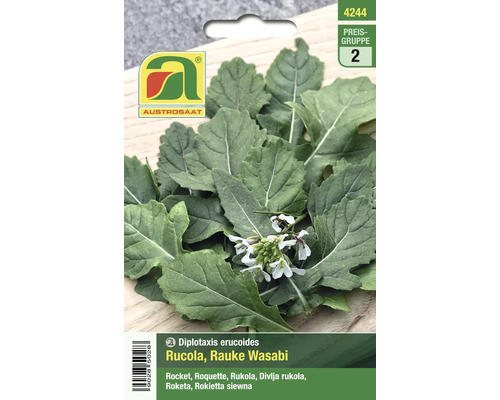 Kräutersamen Austrosaat Rucola 'Wasabi'