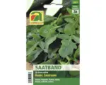 Hornbach Salatsamen Austrosaat Salatrauke Saatband