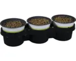 Hornbach 3 x Futterweizen Weichweizen Katzengras PetSnack Triticum aestivum H 15-17 cm Ø 12 cm Topf für Vögel, Nager, Reptilien und Katze