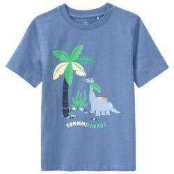 Jungen T-Shirt mit Dino-Print (Nur online)
