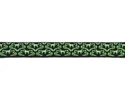 Halsband Shiny Night 20mm x 40-55cm