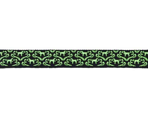 Halsband Shiny Night 20mm x 45-65cm