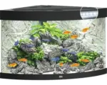 Hornbach Aquarium JUWEL Trigon 190 mit LED-Beleuchtung, Filter, Heizer ohne Unterschrank schwarz