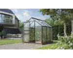 Hornbach Gewächshaus Vitavia Comet 3800 Hohlkammerplatten 4 mm 195 x 195 cm schwarz