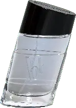 dm drogerie markt Bruno Banani Eau de Toilette Pure Man