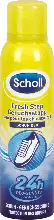 dm drogerie markt Scholl Schuh Deo Geruchsstopp