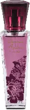 dm drogerie markt Christina Aguilera Eau de Parfum Violet Noir