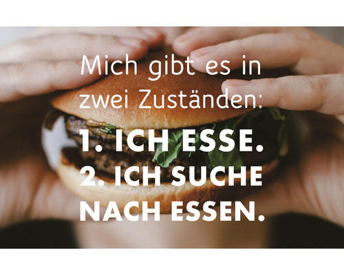 Dekomagnet Mich gibt es in 2 Zuständen: 1. Ich esse. 2. Ich suche nach essen. 8,5x5,5 cm