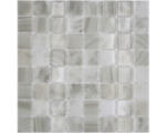 Hornbach Glasmosaik Nature VP56381PUR 31,6x31,6 cm beige glänzend