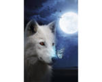 Hornbach Maxiposter Wolf Moon 61x91,5 cm