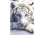 Hornbach Decopanel White Tiger 61x91 cm