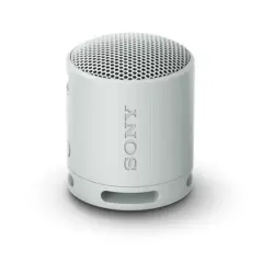 Bluetooth колонка Sony SRSXB100H