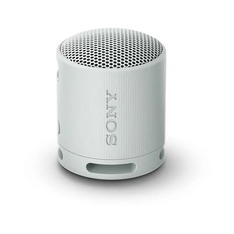 Bluetooth колонка Sony SRSXB100H