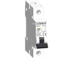 Hornbach Leitungsschutzschalter Iskra® RI51 B13 13A 1-polig