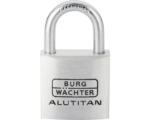 Hornbach Vorhangschloss Burg Wächter Alutitan 770 20 SB