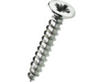 Hornbach Schrauben für Stangenscharnier vernickelt 2,5x16 mm 50 St.
