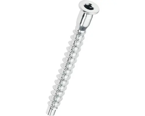 Verbindungsschraube verzinkt 5x50 mm, 50 St.