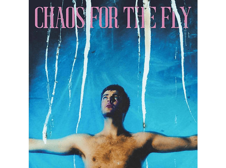 Grian Chatten - Chaos For The Fly [CD]