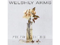 Welshly Arms - Wasted Words & Bad Decisions [CD]