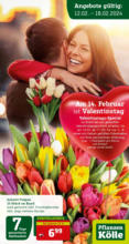 Pflanzen-Kölle Gartencenter Pflanzen-Kölle: Valentinstag - bis 18.02.2024