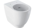 Hornbach Stand-WC Geberit Acanto Tiefspüler spülrandlos weiß ohne WC-Sitz