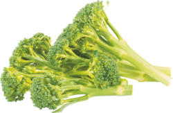 Baby-Broccoli, Spanien, 200 g
