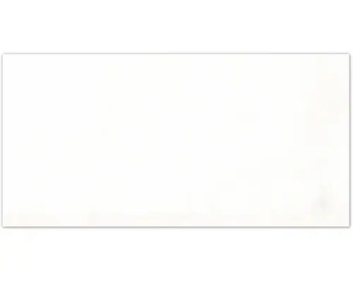 Feinsteinzeug Bodenfliese Sasso 30,0x60,0 cm weiß rektifiziert