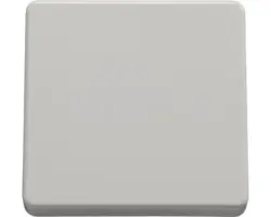 Tasterwippe Zentralplatte ROTH LANGE Plus für A/W Schalter reinweiß (57948)