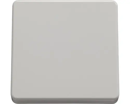 Tasterwippe Zentralplatte ROTH LANGE Plus für A/W Schalter reinweiß (57948)