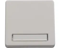 Tasterwippe Zentralplatte ROTH LANGE Plus mir Beschriftungsfeld reinweiß (59359)