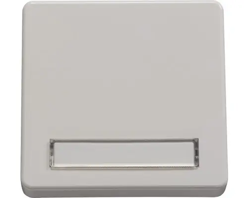 Tasterwippe Zentralplatte ROTH LANGE Plus mir Beschriftungsfeld reinweiß (59359)